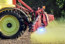 Supreme Court weighs warning labels for Roundup lawsuits