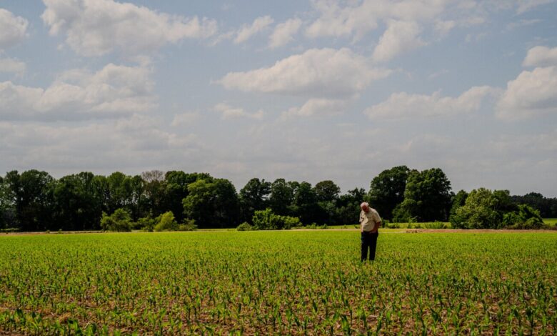 Fertilizer and fuel costs strain farmers as U.S. policy collides with war
