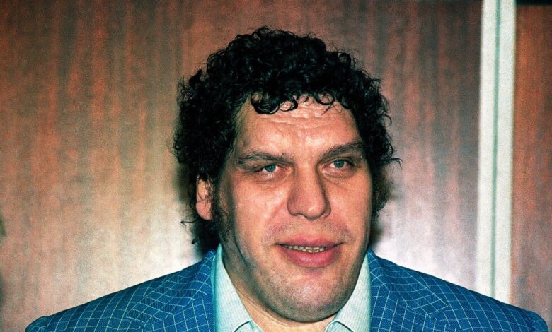 Tiny North Carolina town honors Andre the Giant with marker