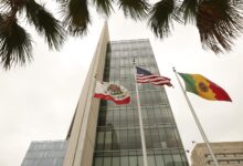 LAPD Arrests Protester After “Chemical Agent” Sprayed at Officers