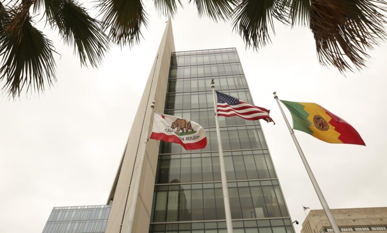 LAPD Arrests Protester After “Chemical Agent” Sprayed at Officers