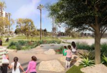 MacArthur Park’s M Lake Cleanup: Will It Fix Safety, Too?