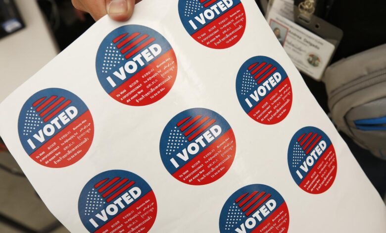 California Woman Registered Her Dog to Vote, Prosecutors Say