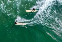 10-foot shark forces Huntington Beach to delay major surf event