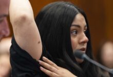 Panel urges charges over agent misconduct in Operation Midway Blitz