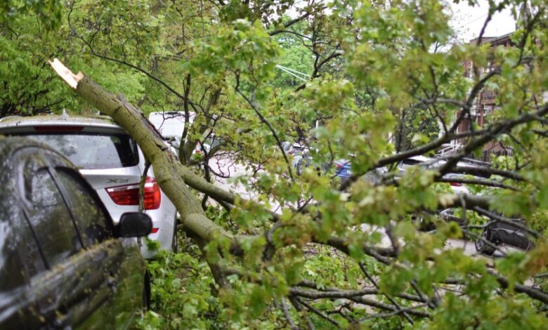 61,000 Without Power After Chicago Storm With 70 mph Winds