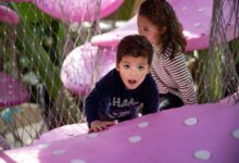 Garfield Park Conservatory to Reopen Children’s Garden May 1