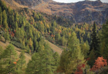 Drought May Fuel Antibiotic Resistance in Soils
