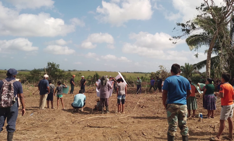 Private Landowners Caught in Maya Land Dispute Down South — Misryoum Update