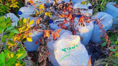 More Aviation Fuel Found Near Drug Plane Landing Site in Belize