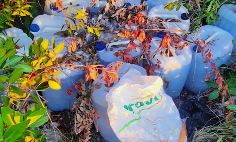 More Aviation Fuel Found Near Drug Plane Landing Site in Belize