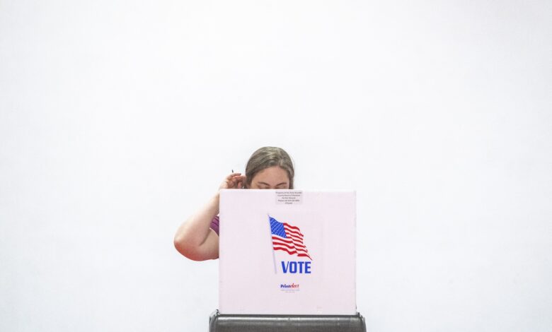 Anti-corporate messaging beats centrism in Sun Belt, poll finds