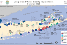 Flesh-Eating Bacteria Found in Long Island Waters—20% Death Risk Within 48 Hours