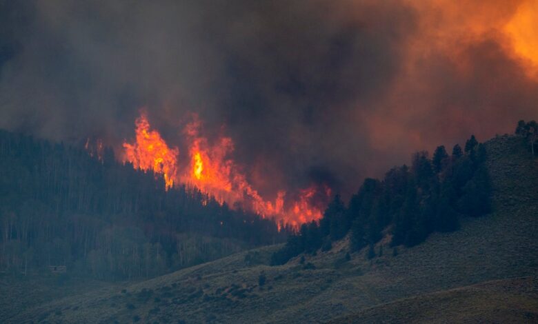 Wildfire ‘red flag’ alerts expand across the U.S.—what to do