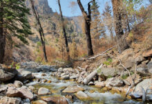 Wildfires Worsen Flood Risk—Even After the Flames