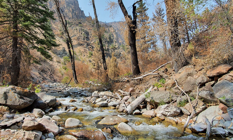 Wildfires Worsen Flood Risk—Even After the Flames