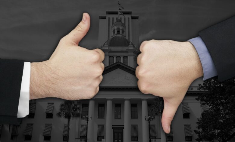 Florida Politics Winners and Losers: Map, AI, Cannabis