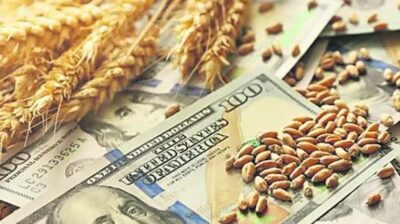 Bolivia: brecha de divisas supera los $us 5.000 MM