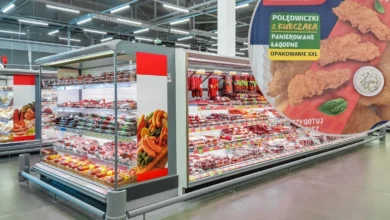 Nowe regulacje dotyczące AI w Europie