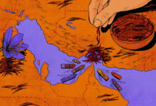 Saffron Crisis Hits Kashmir as Iran Exports Stall