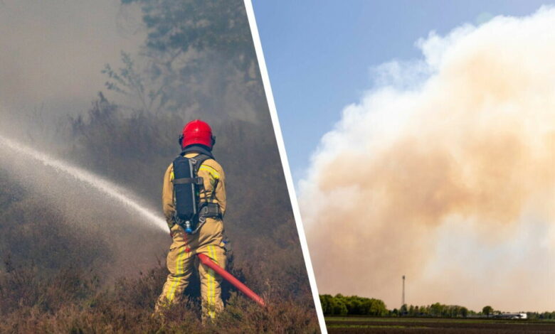 Mogelijke brandgeur in Zeeland door natuurbranden in Oirschot en Weert