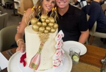 David Warner drink-driving case: lawyer admits reckless choice