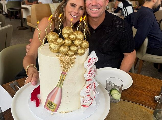 David Warner drink-driving case: lawyer admits reckless choice