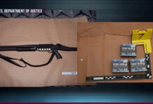 White House Dinner Suspect Details Spark Security Questions