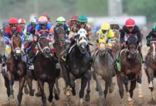DK Horse King of the Track offer: How to claim
