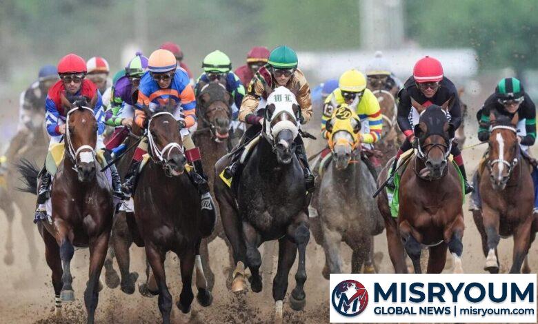 DK Horse King of the Track offer: How to claim DK Horse King of the Track offer: How to claim