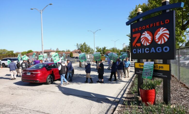 Some Brookfield Zoo staffers strike after negotiations fail