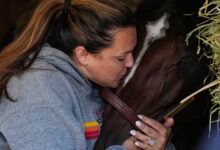 Will Kentucky Derby winner Golden Tempo run in Preakness Stakes 2026?