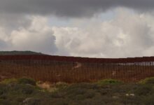 Border Wall Expansion Threatens Arizona Native Site