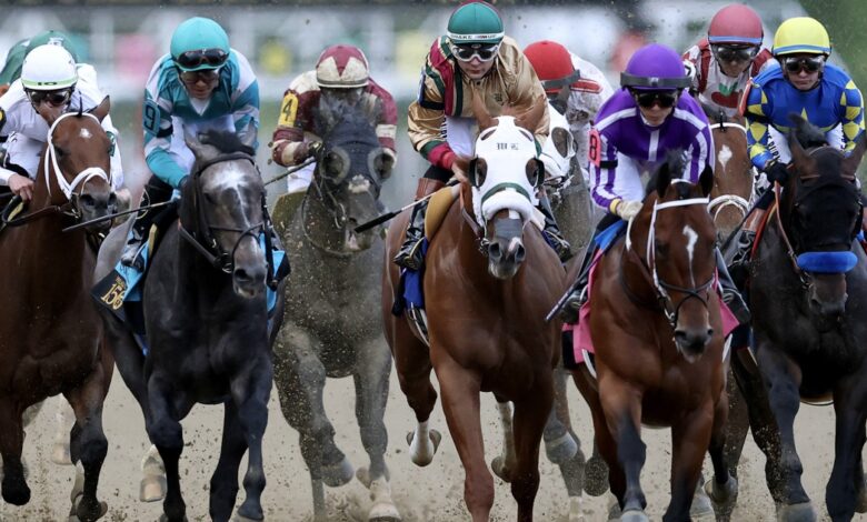 Preakness at Laurel May 16 Without Golden Tempo