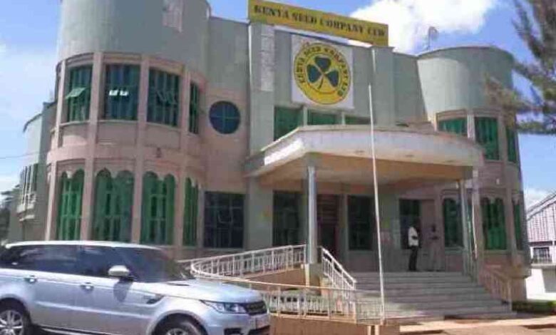 Race for Kenya Seed Company chair post heats up