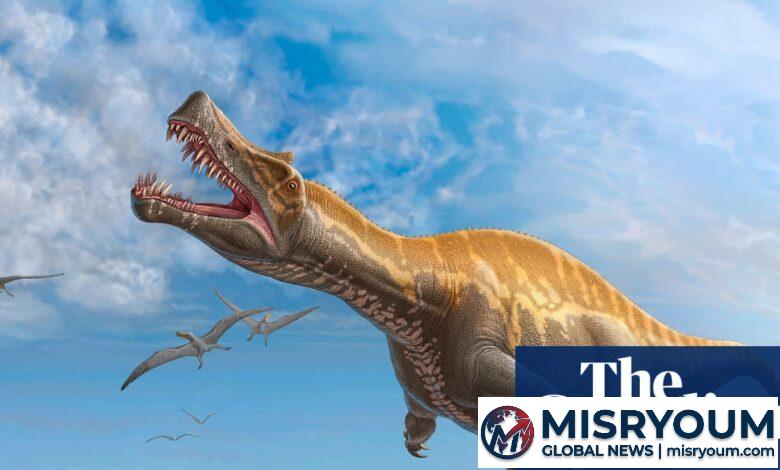 Irritator dinosaur skull to return to Brazil