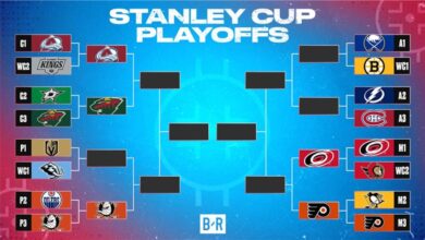 NHL Stanley Cup Playoffs: Wild and Ducks Win Series