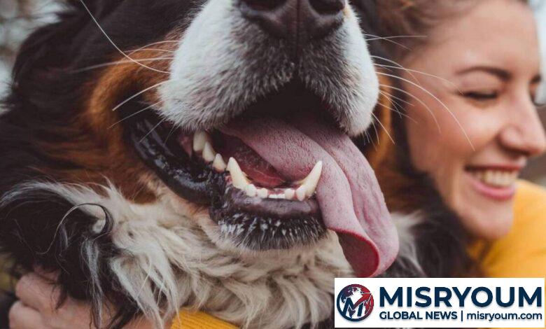Dog ownership and health: what science says