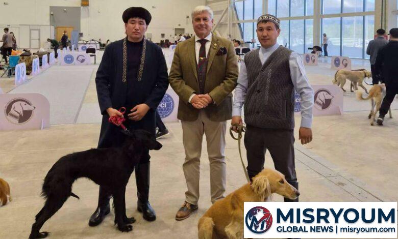 Kazakh Tazy Monobreed Show Draws Attention in Astana