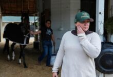 Cherie DeVaux Sets Her Sights on a Kentucky Derby First
