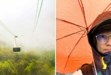 Aerial Tram Surprise in the Smokies Turns Rain Into a Win