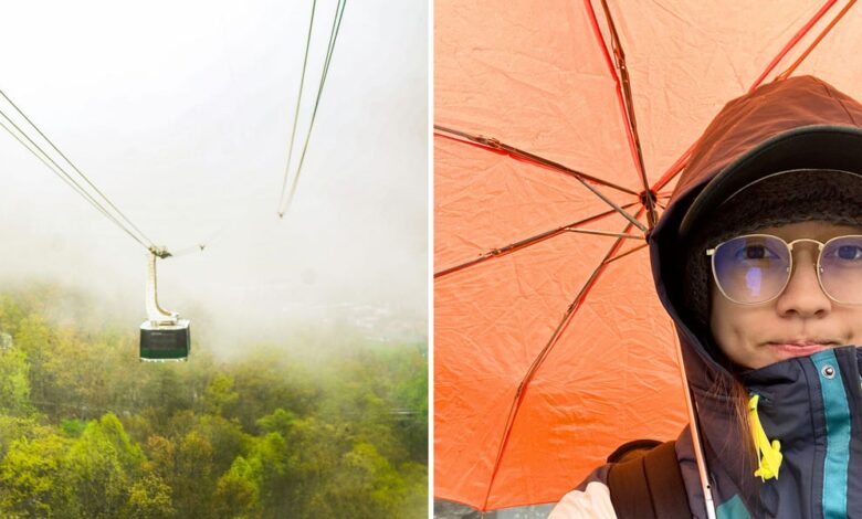 Aerial Tram Surprise in the Smokies Turns Rain Into a Win