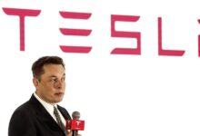 Tesla made over 0m selling to xAI and SpaceX