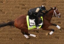 Kentucky Derby billionaires: odds and owners
