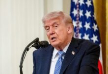 Trump is weighing AI oversight. This is what smart people are saying about it.