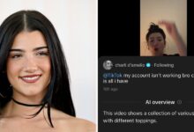 TikTok pulls back on an AI feature that described Charli D'Amelio as a collection of blueberries