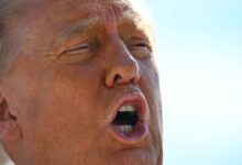 Trump Settlement Terms Forever Bar IRS From Audits