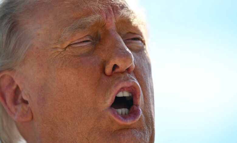 Trump Settlement Terms Forever Bar IRS From Audits