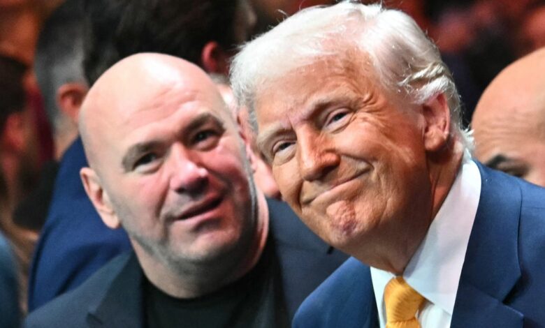 Dana White’s gnat worry chills Trump’s White House fight Dana White’s gnat worry chills Trump’s White House fight