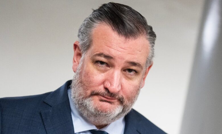 Ted Cruz Dodges Jan. 6 Payout Question With Biden